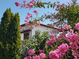 Houses for sale near Merichleri - 15203