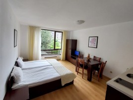 Studio apartments for sale near Bansko - 15326