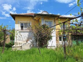Houses for sale near Pleven - 15762