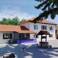 Houses for sale near Pleven - 15804