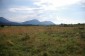 10936:9 - Cheap agricultural land for sale in Berkovitsa, Montana region
