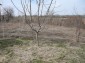 12715:47 - Cheap Bulgarian property for sale garden 2000sq.m Targovishte