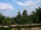 11199:20 - Charming rural house near a big dam lake near Popovo