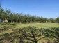 14976:8 - Renovated country property with large yard and lots of trees