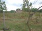 15160:11 - Cheap Bulgarian property for sale in Topolovgard region